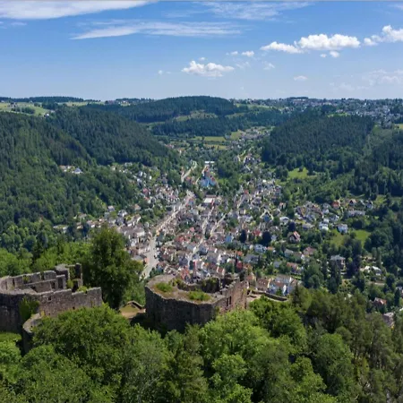 Apartment Haus Schiltach